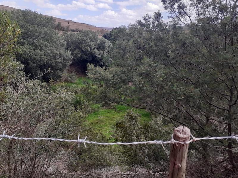 0 Bedroom Property for Sale in Albertinia Western Cape